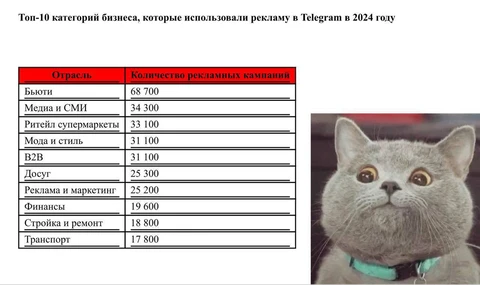 🤓Пообщались с МТС AdTech и выудили из них статистику рекламных запусков в Телеграм за 2024 год  обложка