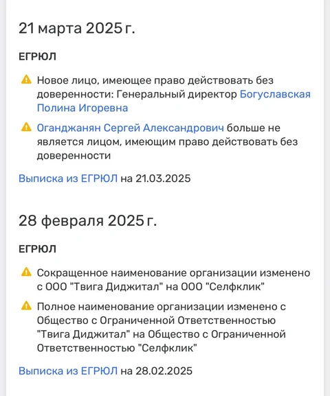 Программатик платформа Твиги Селфклик сначала поменяла название юрлица, а затем и генерального директора
