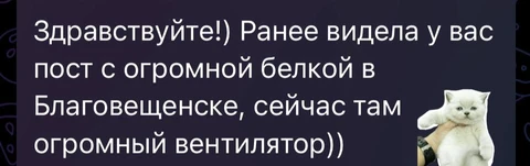 🤓Как и говорили, гигантское китайское колесо обозрения через речку от Благовещенска становится реуламоносителем на котором должны постоять все
