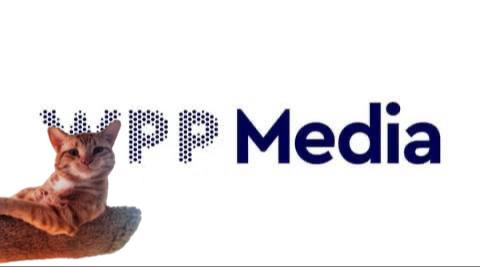 IMG_20250911_163636_721