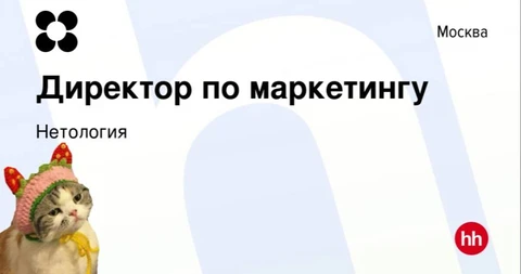 😂Школа онлайн-профессий Нетология, выпустившая миллион маркетологов, ищет себе маркетинг-директора на стороне