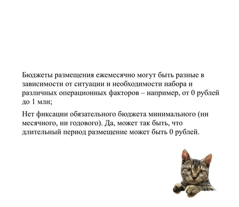🤓Когда менеджер на стороне клиента — слишком прямодушный