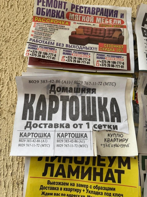 IMG_20251103_153736_484