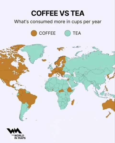 IMG_20251216_080833_399