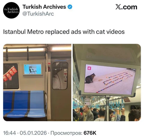 🤓Стамбульское метро заменило рекламу на экранах в вагонах на видео с котами, что стало вирусным в социальных сетях (предсказуемо)