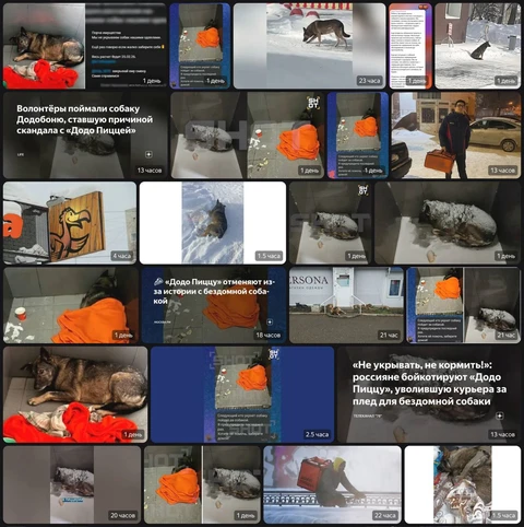 IMG_20260224_113904_725