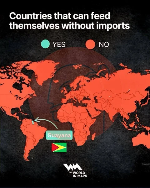 🤓Согласно исследованию Nature Food, единственная страна на планете, полностью обеспечивавшая себя едой по всем 7 группам продуктов (Фрукты, овощи, бобовые, крахмалистые продукты, мясо, рыба, молочные продукты) — это Гайана