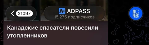 1000051485