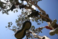 photo_4359@28-07-2024_13-49-18