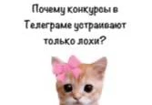 😂Вместо длинной статьи на Адиндексе можно написать короткие три строчки. Объясняем на Кисах