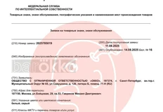 🤓Кинотеатр Окко что-то задумал и запустил в регистрацию серию странных товарных знаков