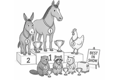 IMG_20250924_074622_660