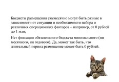 🤓Когда менеджер на стороне клиента — слишком прямодушный