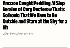 IMG_20251009_164133_399