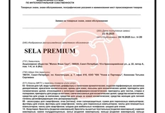 🤓Sela строит зонтик. На регистрацию поданы субаренды: «кидс», «мен», «вуман» и даже «преимиум»