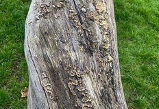 IMG_20251029_182253_799