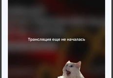 IMG_20251111_072413_174