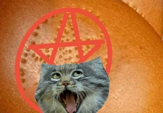 IMG_20251116_135534_417