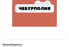 😂Бывший e-commerce директор PepsiCo и в Natura Siberica открыла компанию с названием «ИгроникА» и продает «Чебурполию»