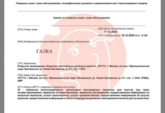 IMG_20251219_074512_841