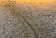 IMG_20260112_072013_771