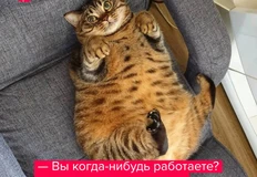 ⚡️Постмаркетингу нужна ваша помощь