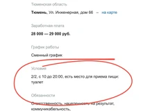 😂Причуды очень малого бизнеса. ИП из Тюмени нанимает продавца, которому придется есть в санузле