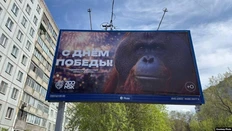 🤓Верим, эти поздравительные макеты Новосибирского зоопарка делались без злого умысла