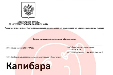 🤓Дымов планирует изготовлять Капибару и Капибарок. Возможно, это колбаса и сосиськи