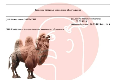 🤓Тимур Нуруахитович Бекмамбетов регистрирует верблюда в патентном ведомстве