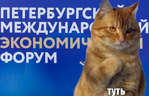 🤓Сегодня первый день ПМЭФа. Сообщают, что это самый злой форум в истории по части отказа в регистрациях