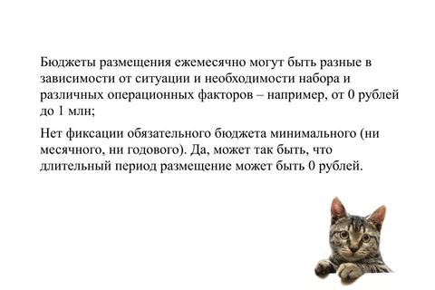 🤓Когда менеджер на стороне клиента — слишком прямодушный