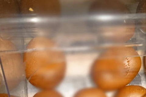 IMG_20251116_135533_941