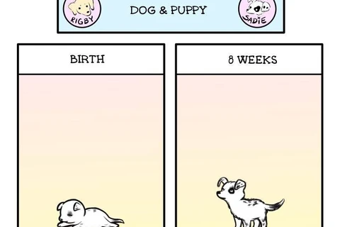 IMG_20251224_073426_580