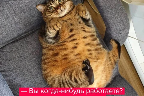 ⚡️Постмаркетингу нужна ваша помощь