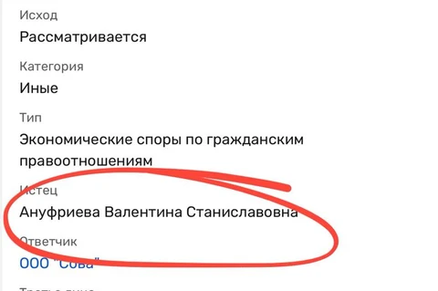 🤔Загадочное событие. Действующий учредитель агентства «Сова» Ануфриева Валентина Станиславовна подала судебный иск к собственному юрлицу на сумму 113 миллионов рублей