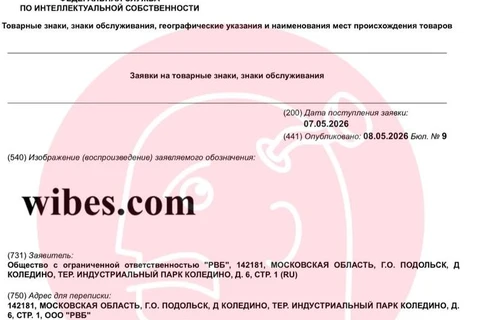 🤓У WB по-настоящему серьезные планы на бренд Wibes