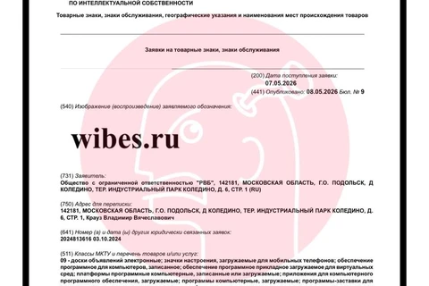 🤓У WB по-настоящему серьезные планы на бренд Wibes